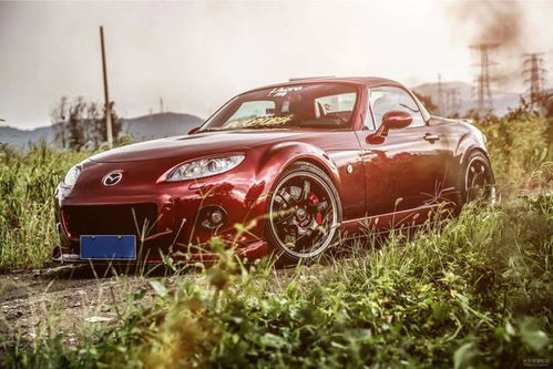 女生眼中low到爆的汽車改裝 幼稚貼紙竟非第一？