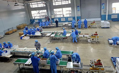 吉林省多措并舉助力農(nóng)業(yè)龍頭企業(yè)復(fù)工復(fù)產(chǎn)，優(yōu)化辦公服務(wù)護(hù)航春耕生產(chǎn)